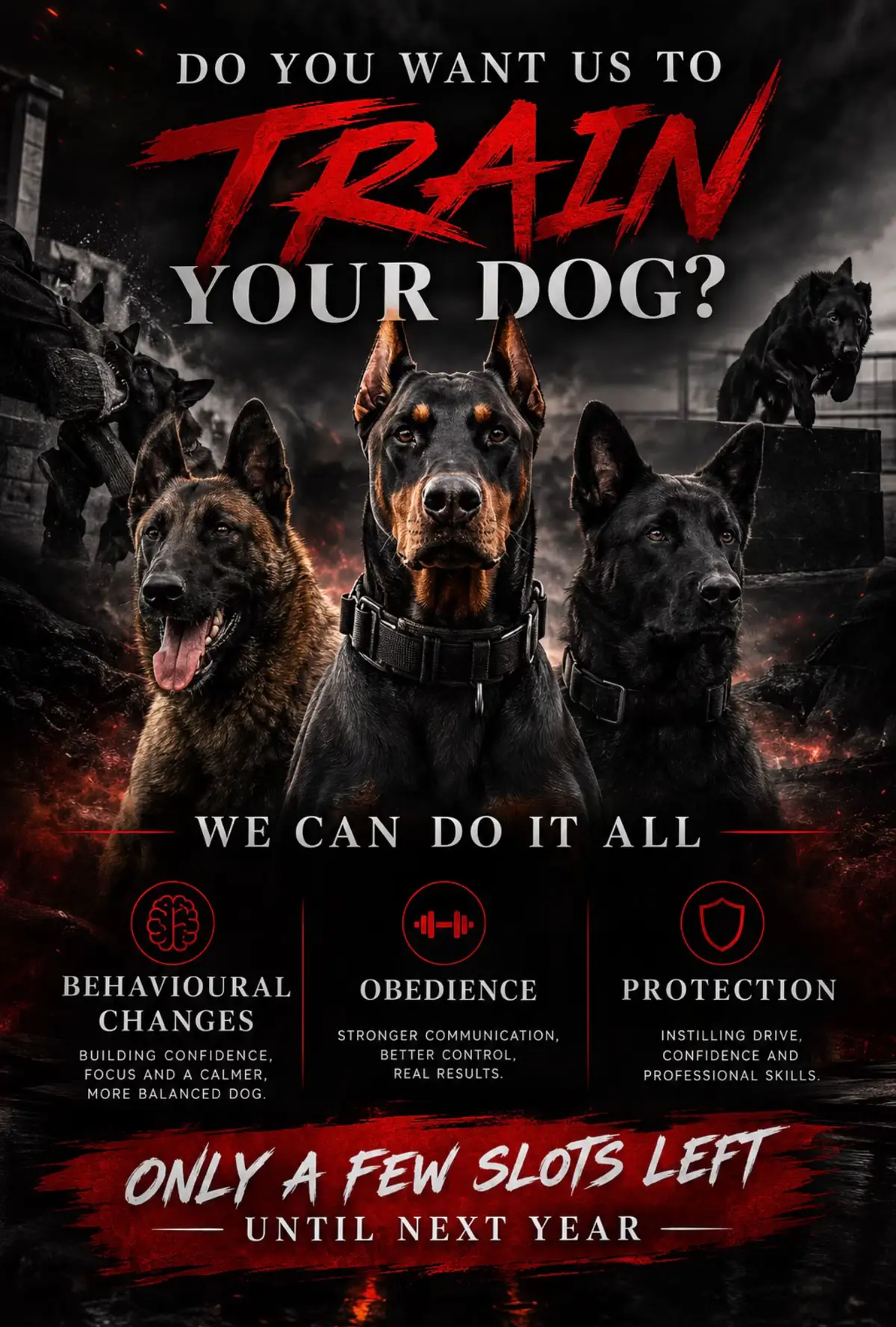 @protectiondobermanns