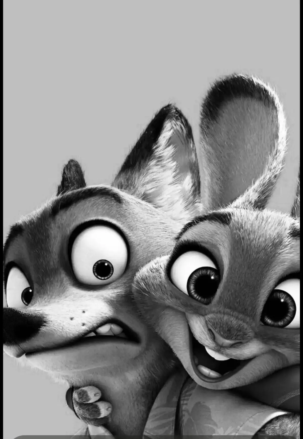 @dimopoulou._