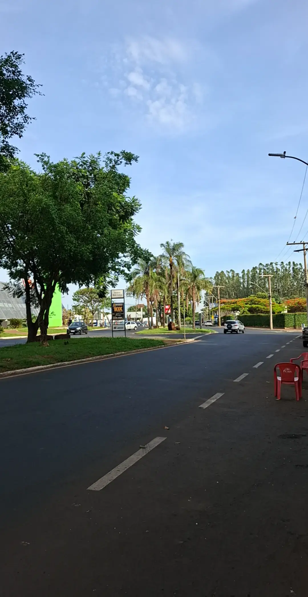 @Dolores Vasconcelos