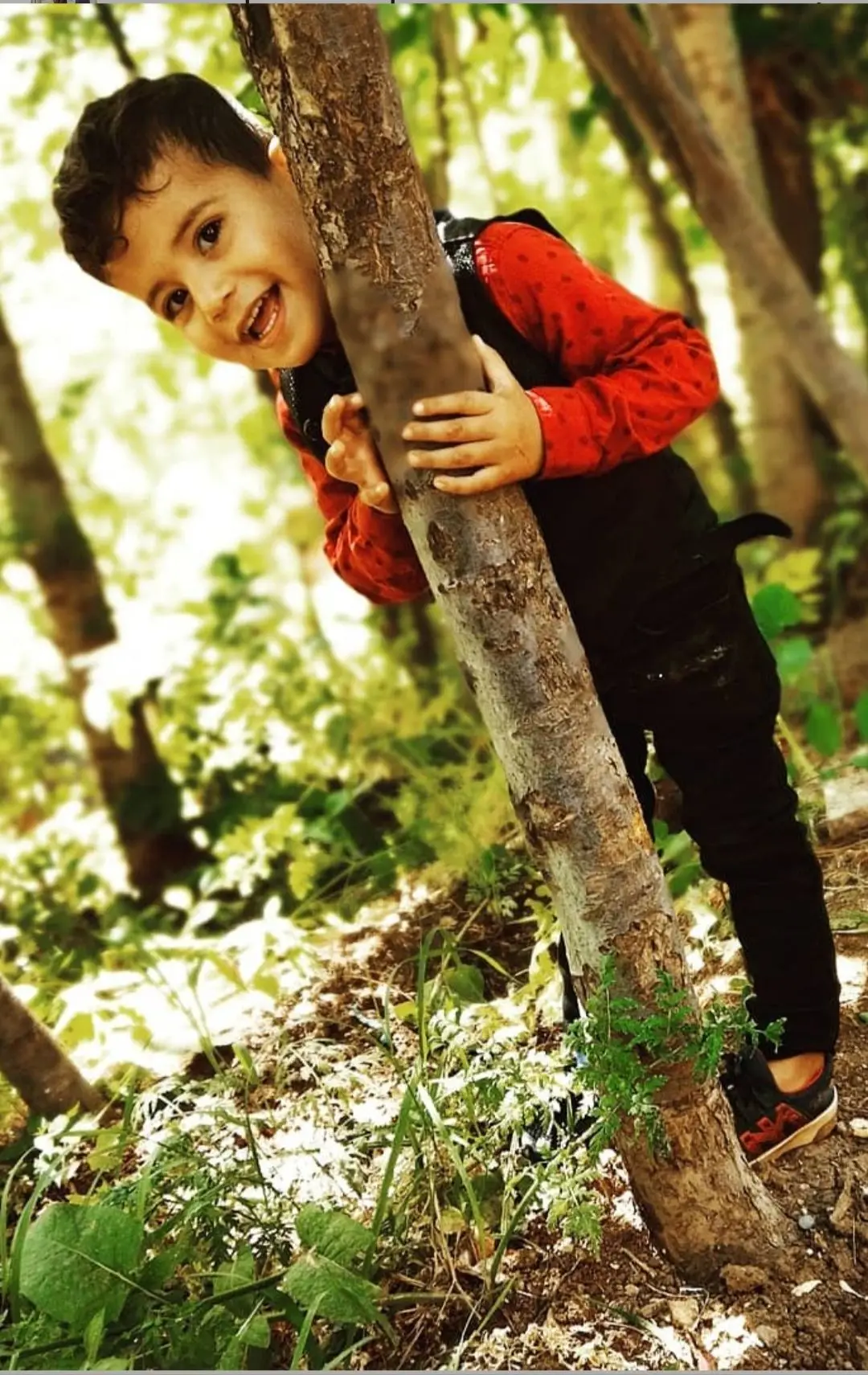 @bayram30