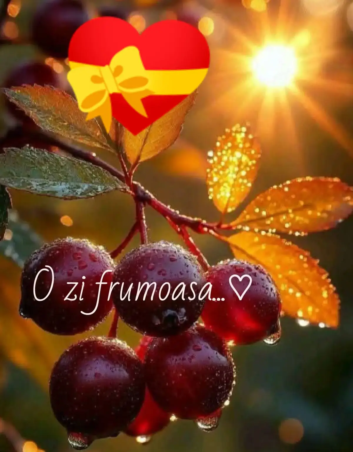 @💝