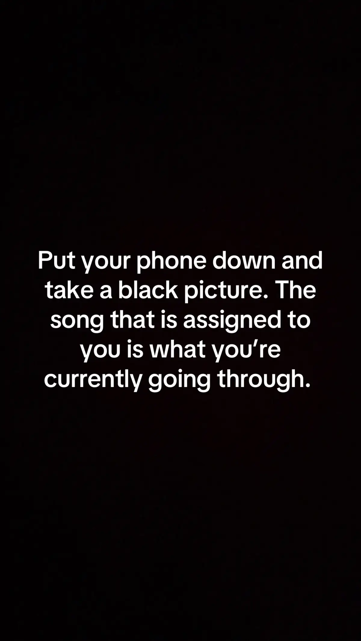 @Amy Rene