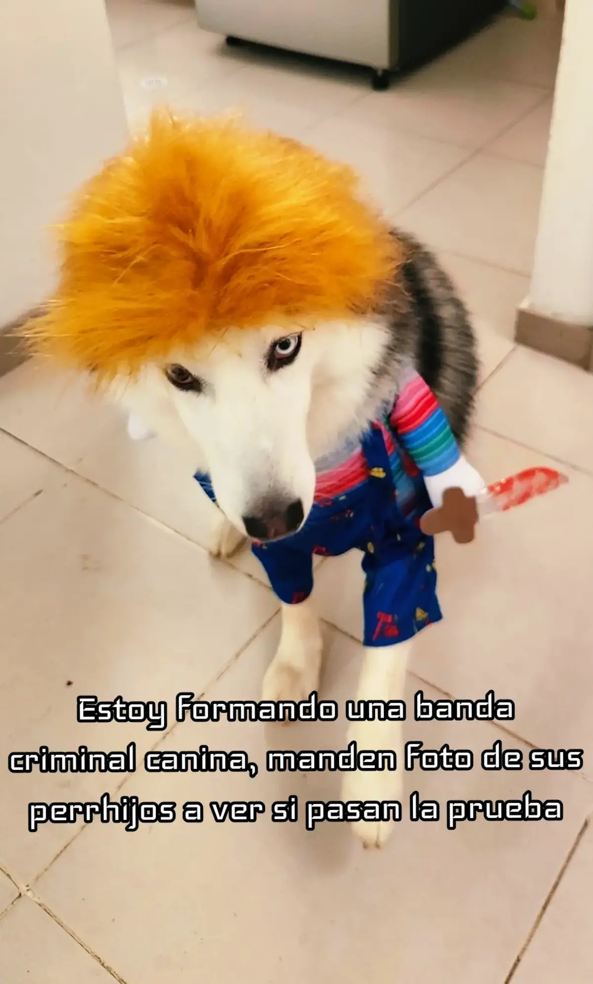 @Horus Antonio Cortés Arias