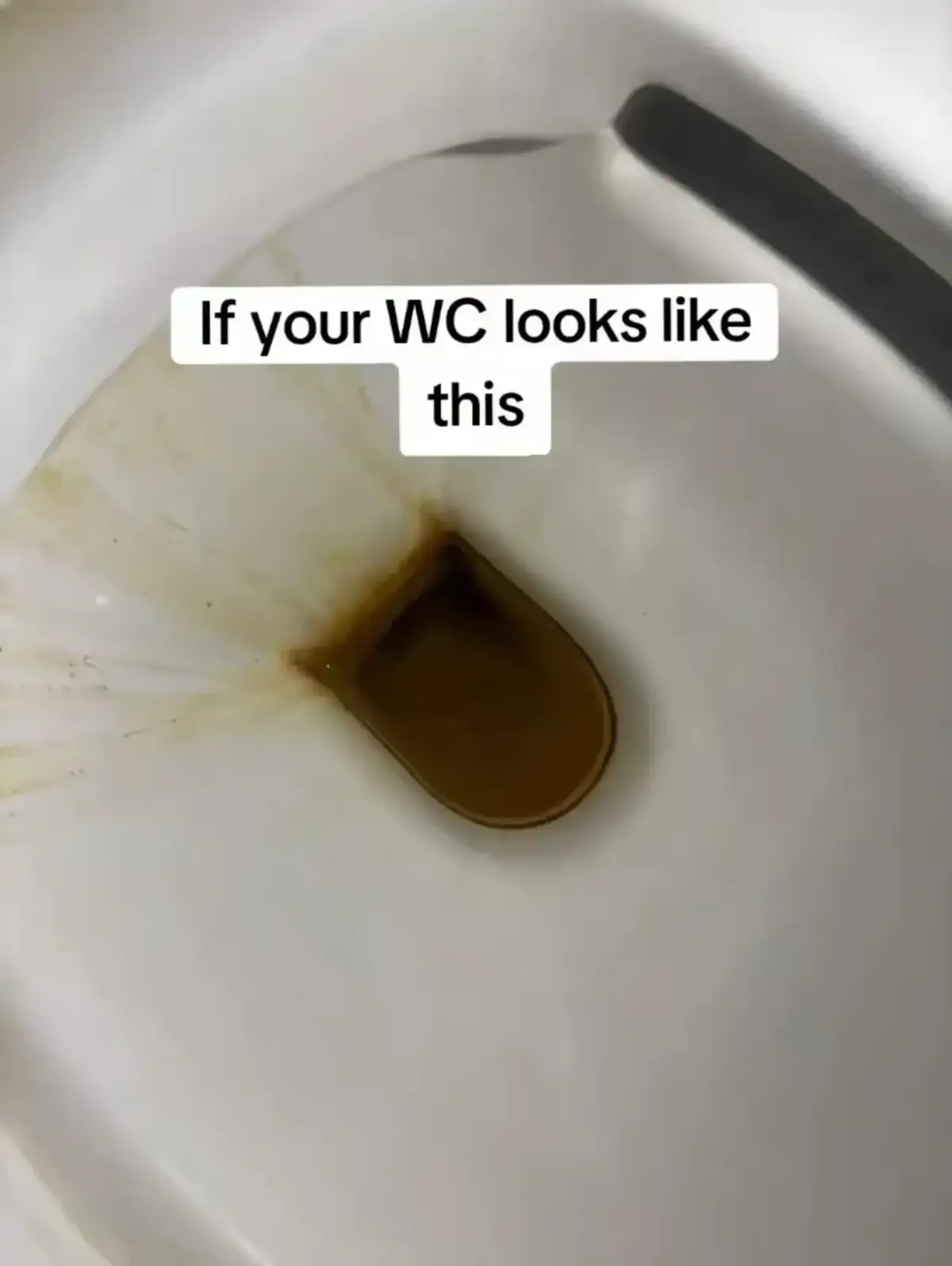@Tilescleaner Toiletcleaner