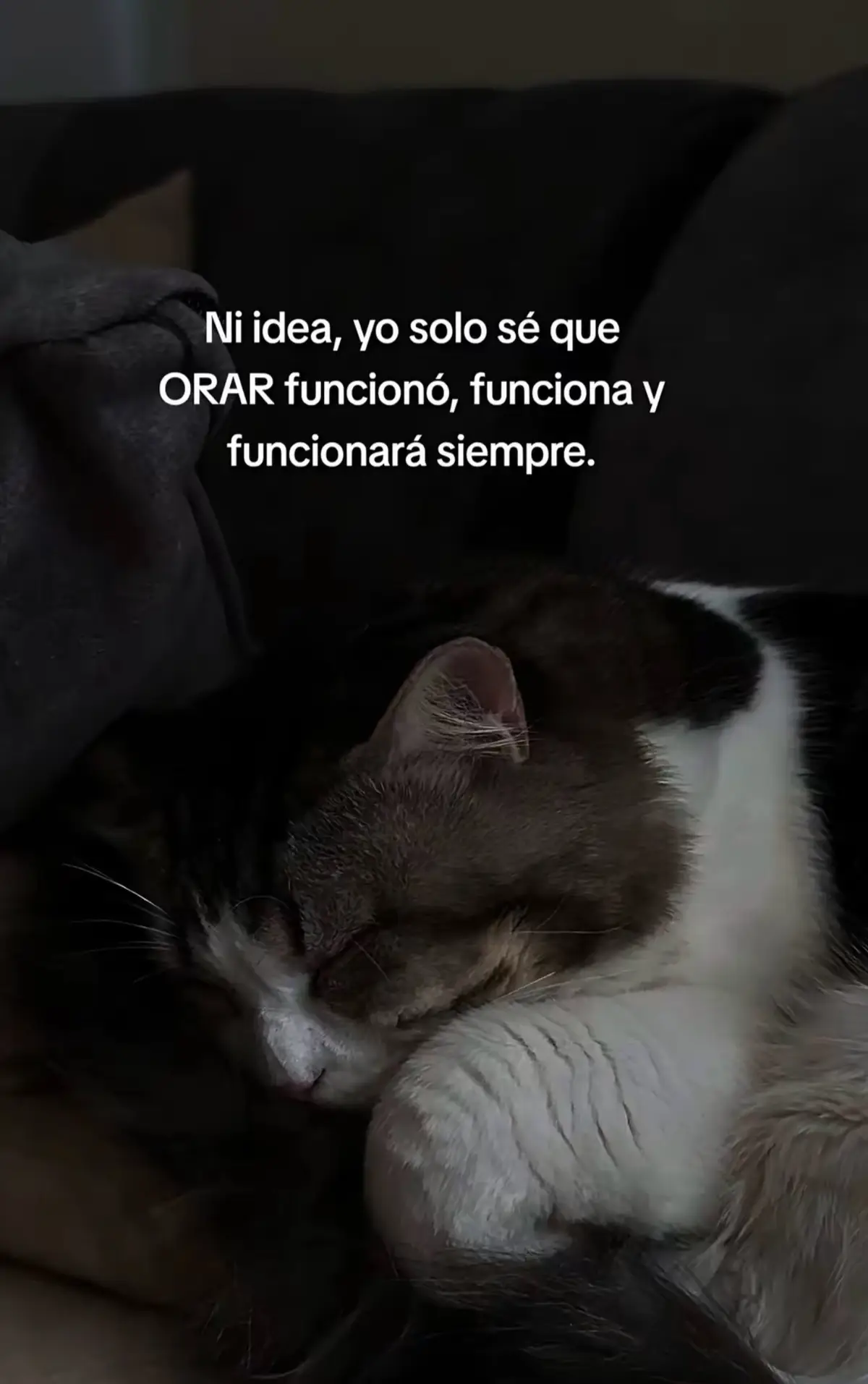 @alexander___espinal