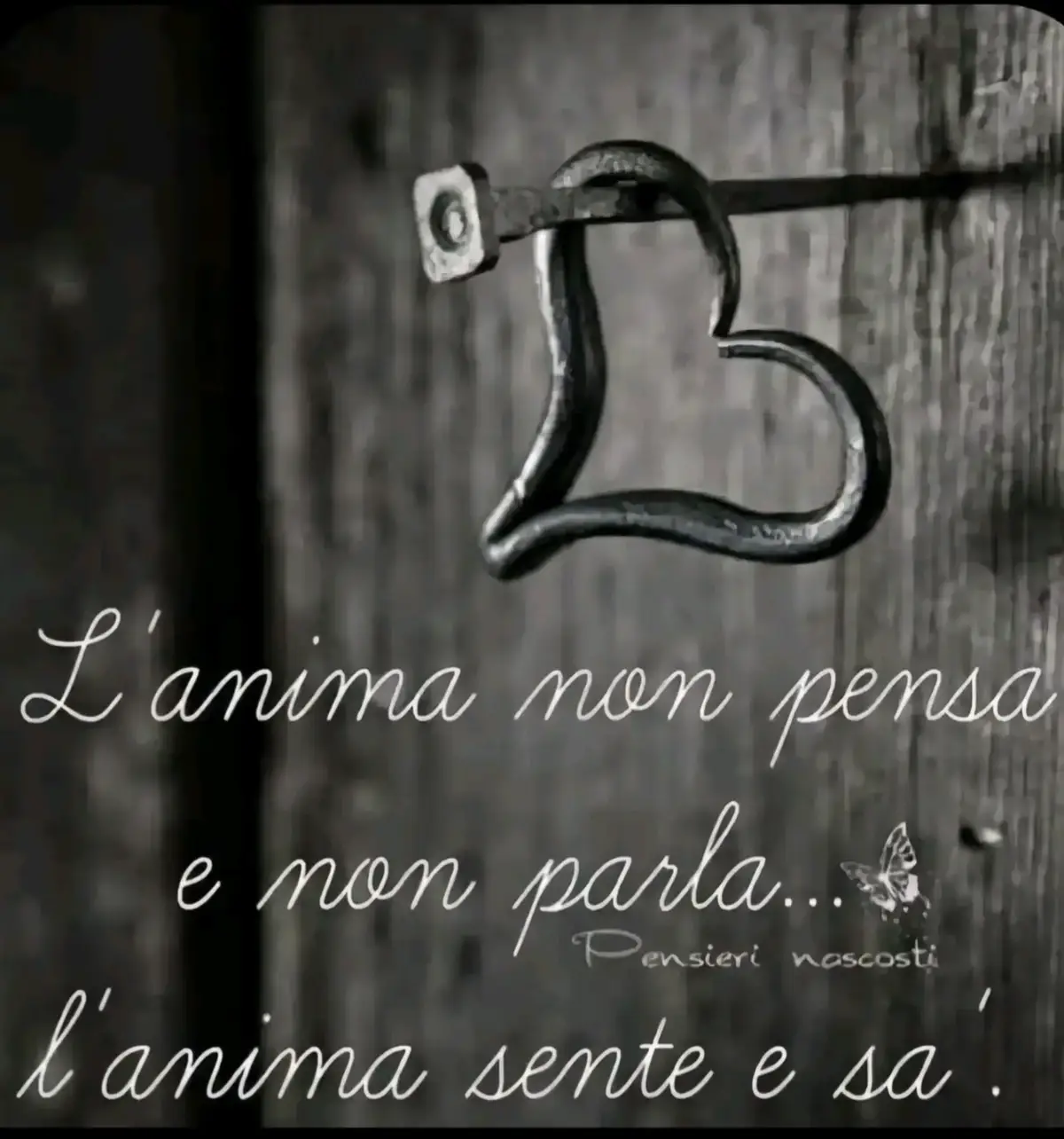 @Sergio Pennisi