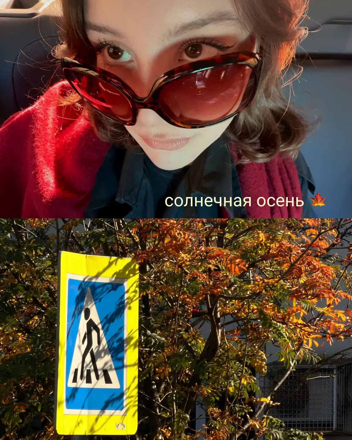 @Ирада, которая всегда рада
