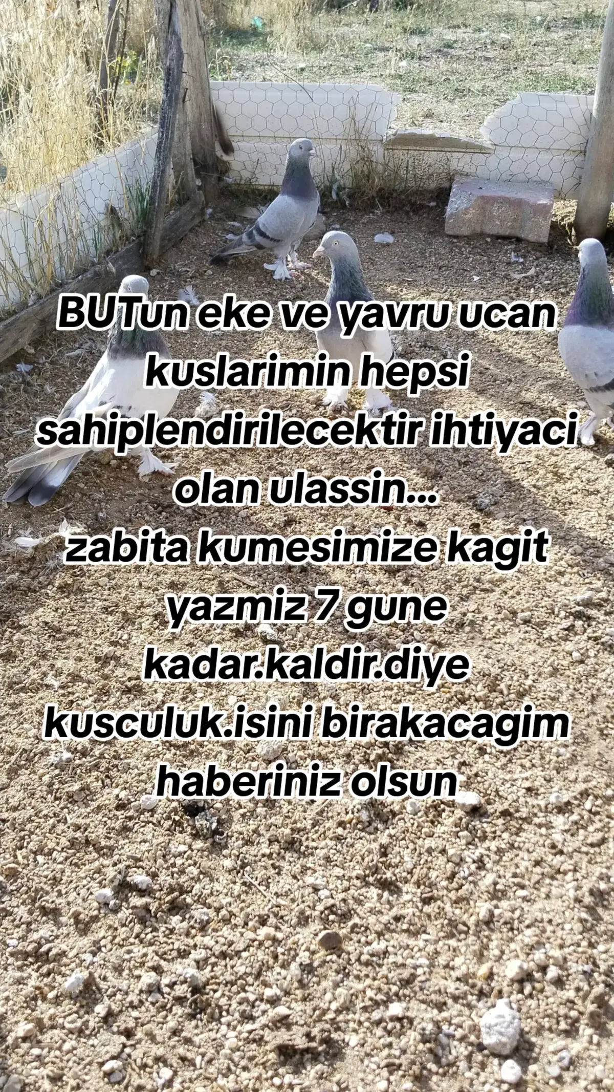 @🎲🎲oyunkusu.kirsehir40🎲🎲