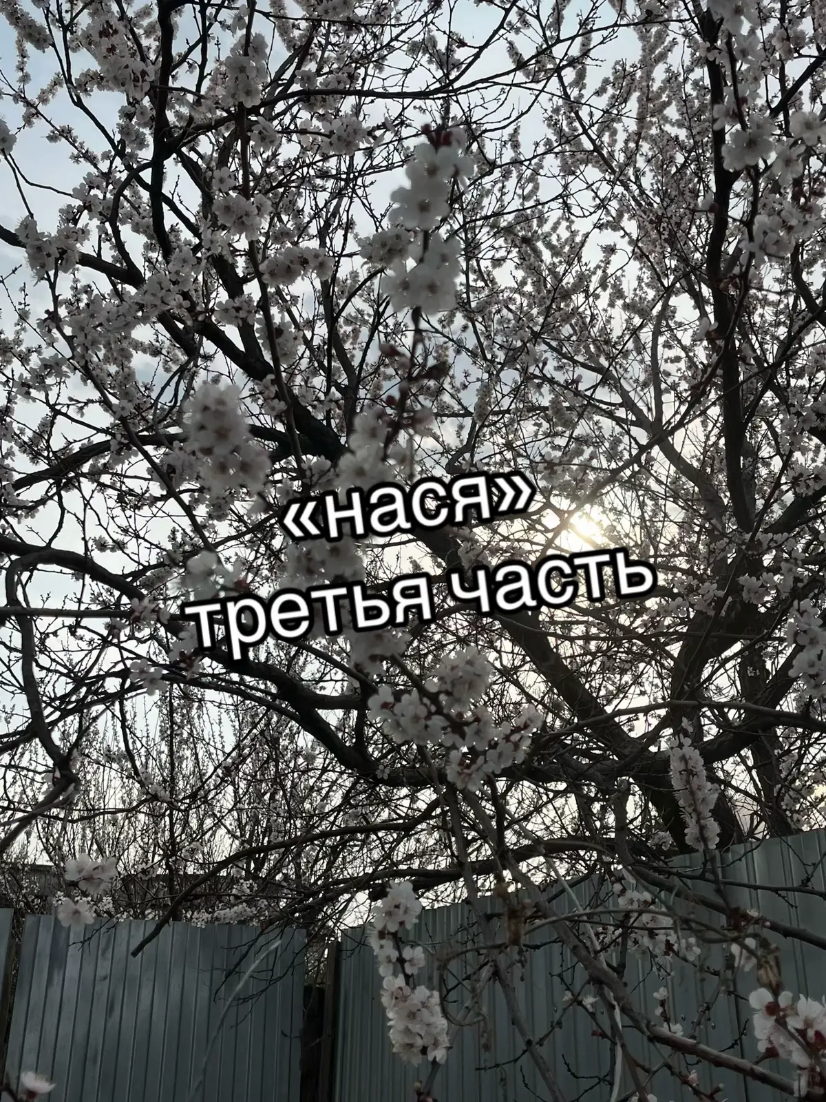@stepm00m