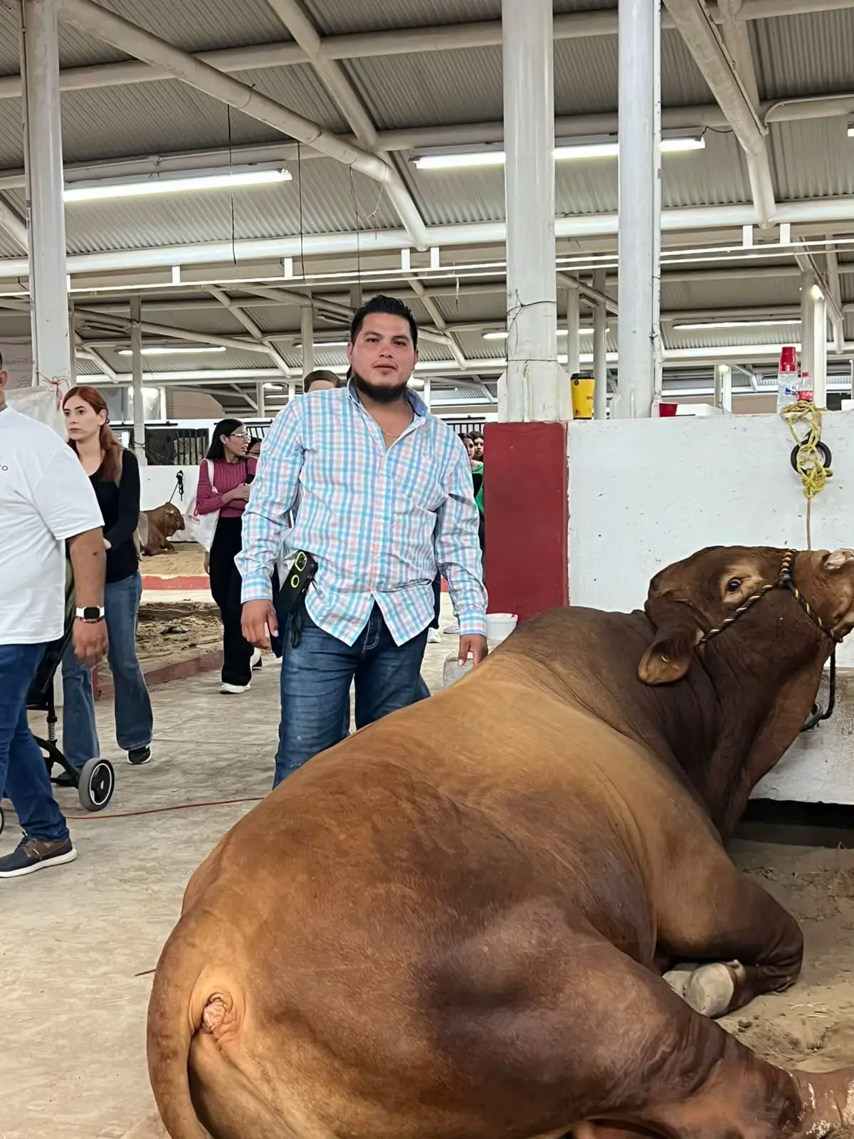 @Rodolfito Gonzalez G