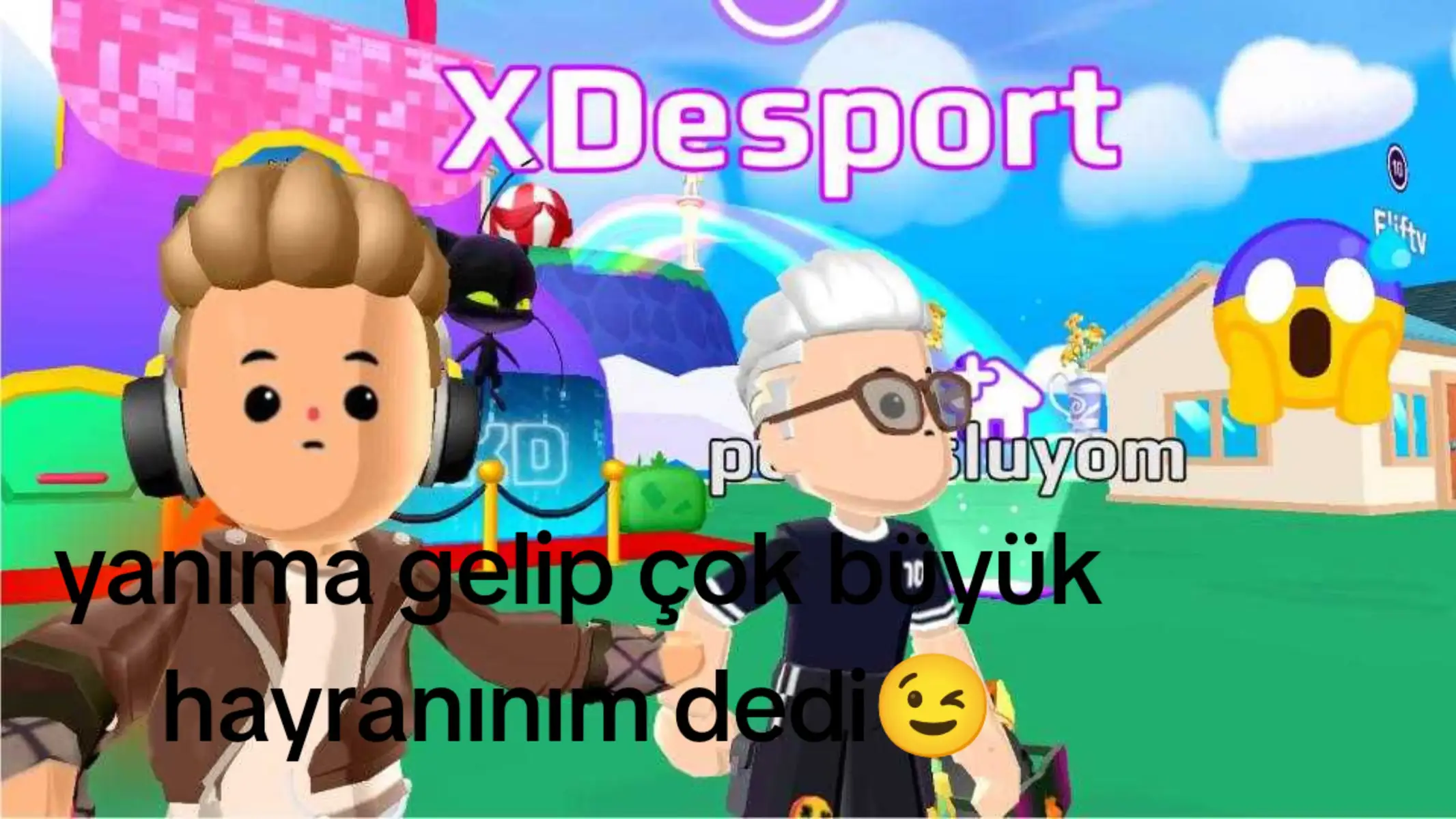 @(*_*)XDesport(TT)
