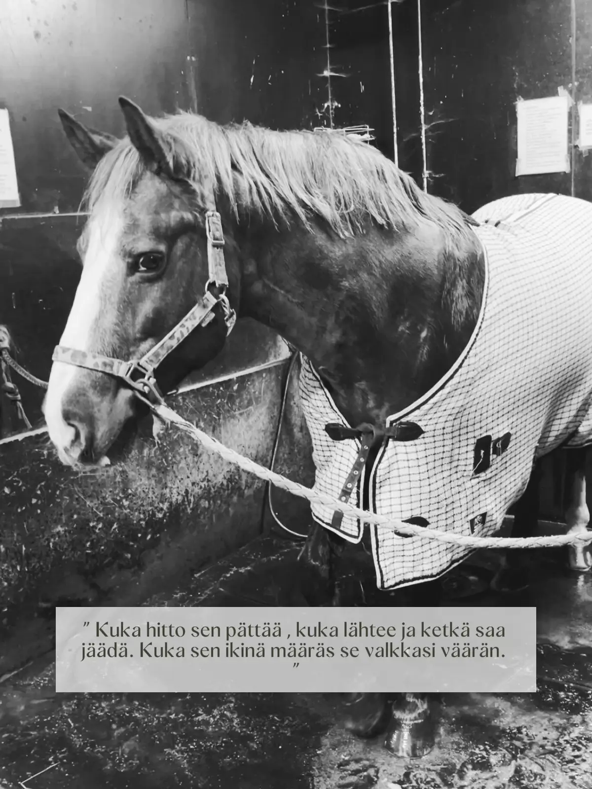 @Team.Toikkanen🇫🇮💞