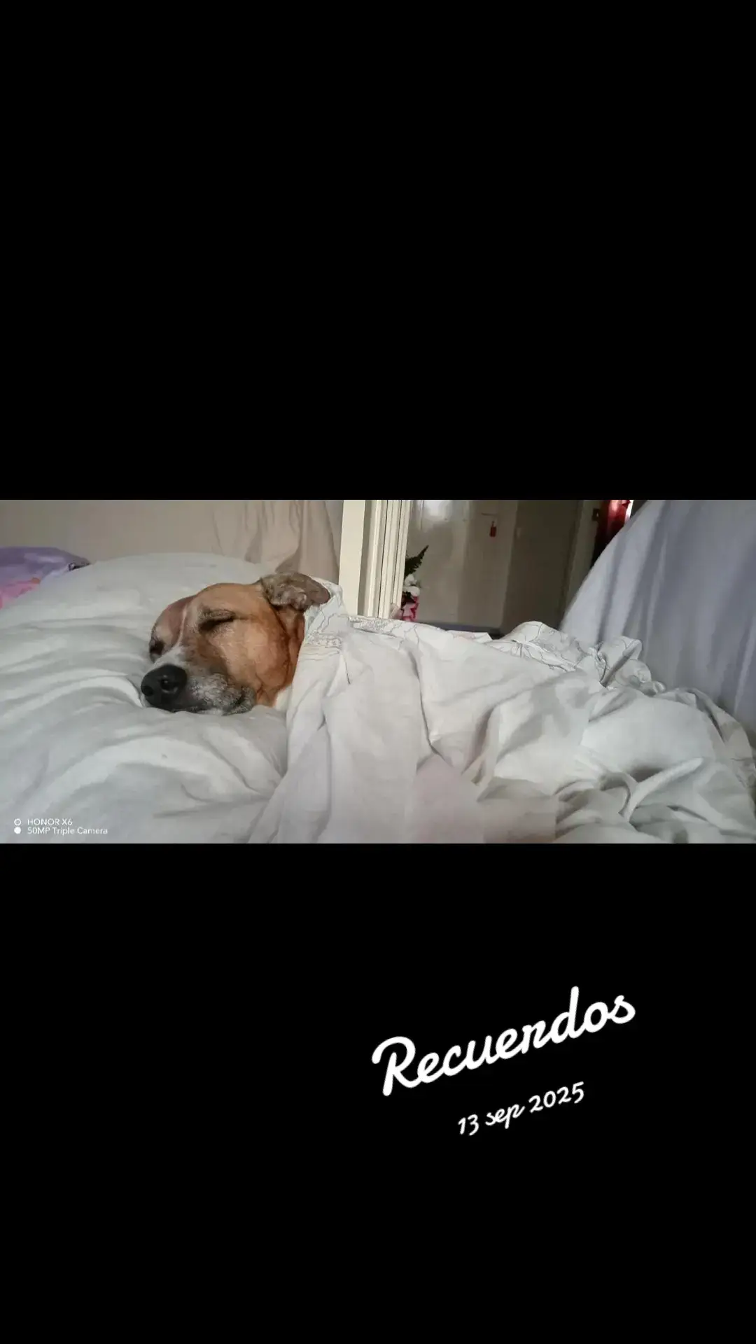 @Mari Sabio