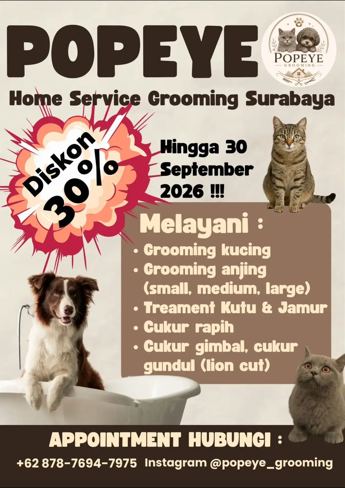 @Vdb petshop