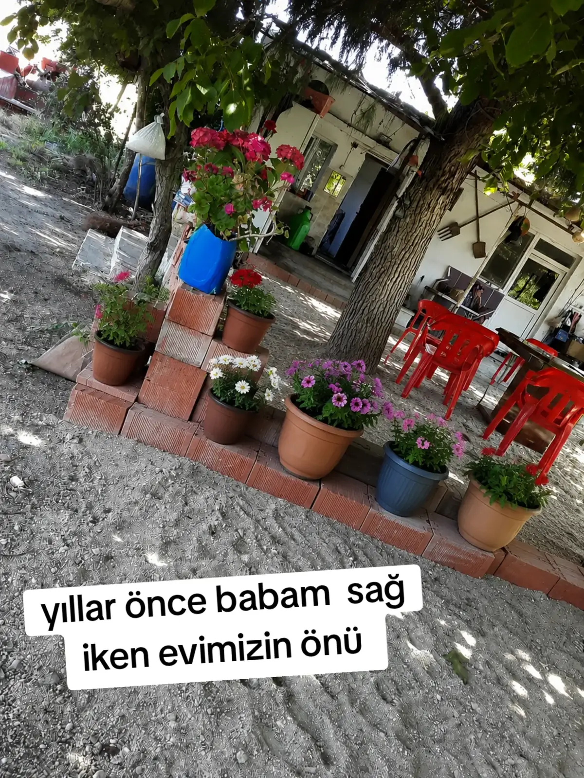 @Tijen Sert 💕