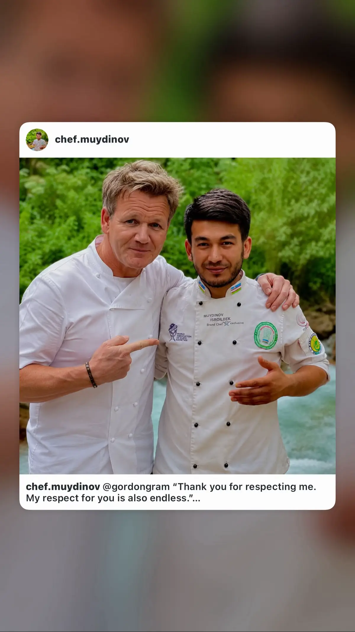 @chef.muydinov