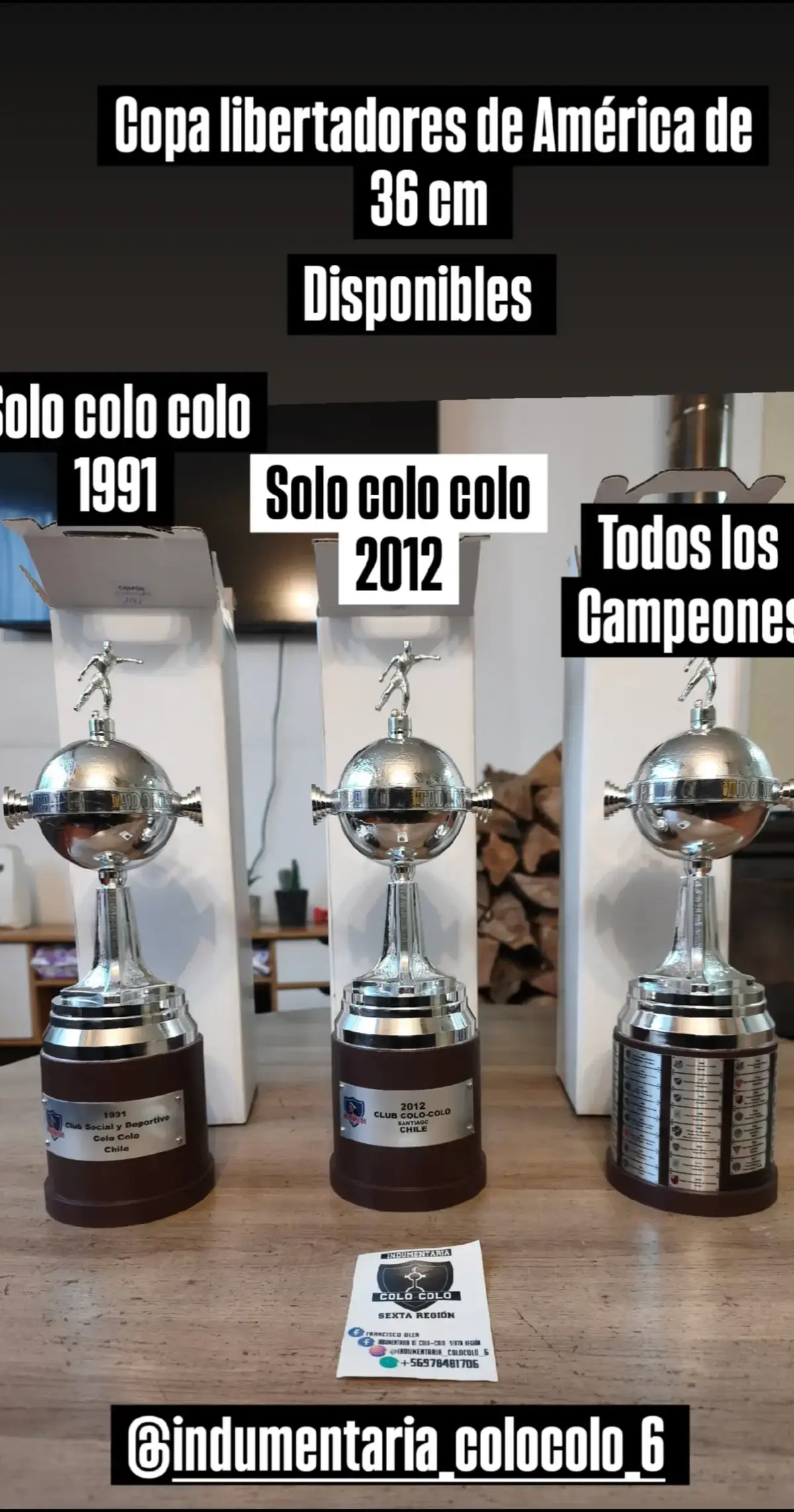 @indumentaria_colocolo_6