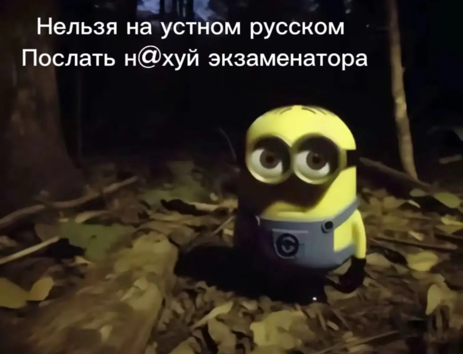 @Тгк:smaga195