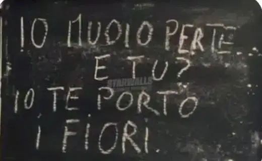 @Carla Junior