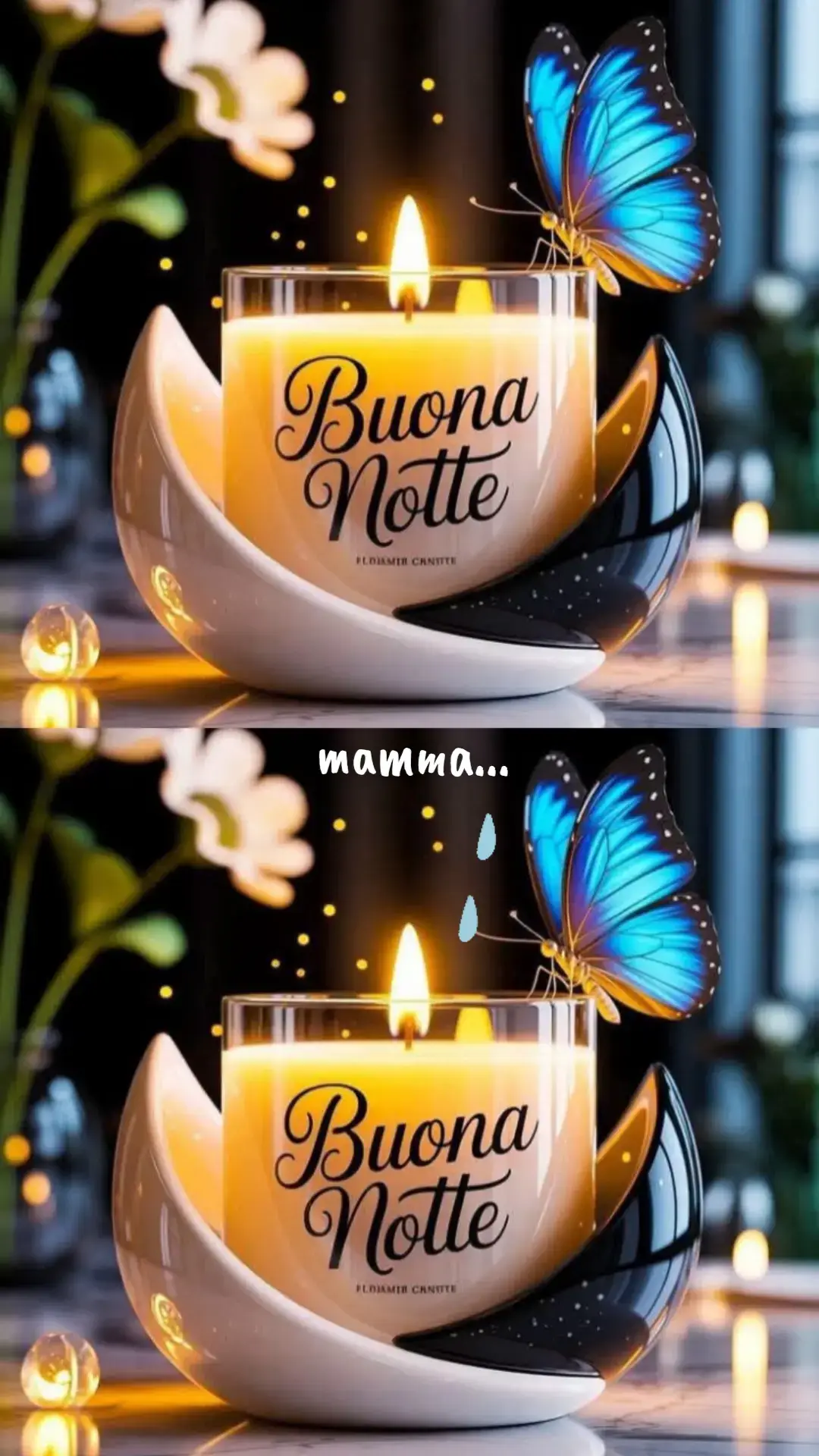 @viva la vita