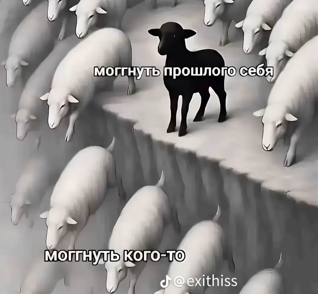 @uliasheechka