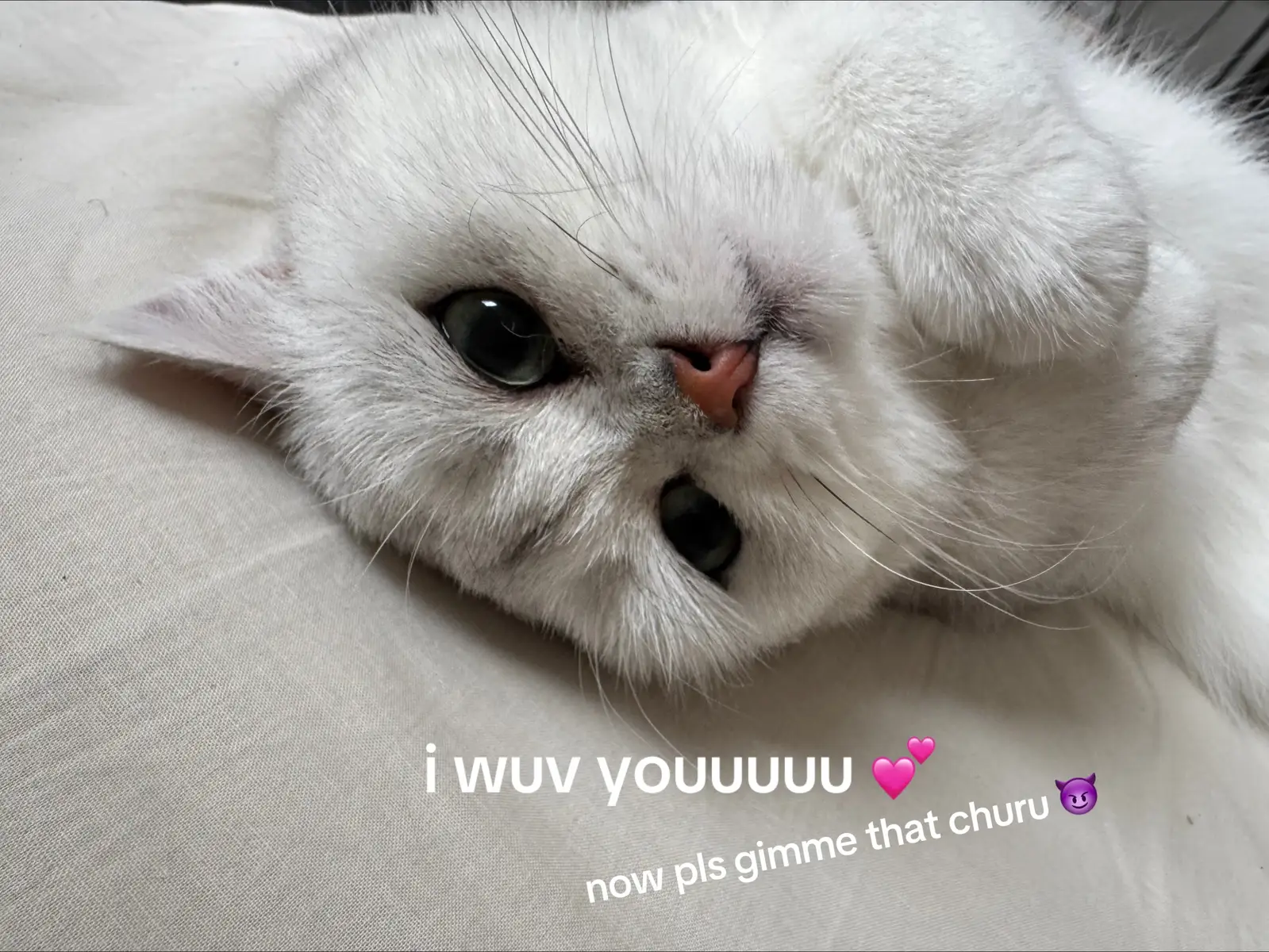 @riku 리쿠 + yuki 유키