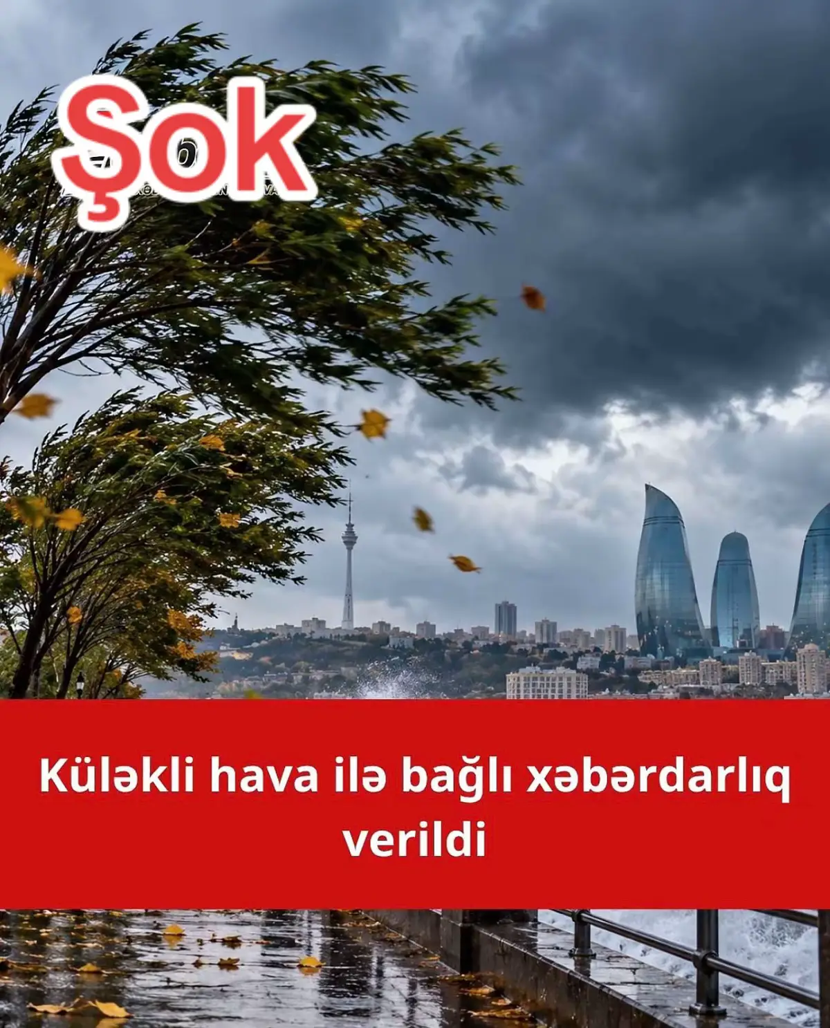@the_baku