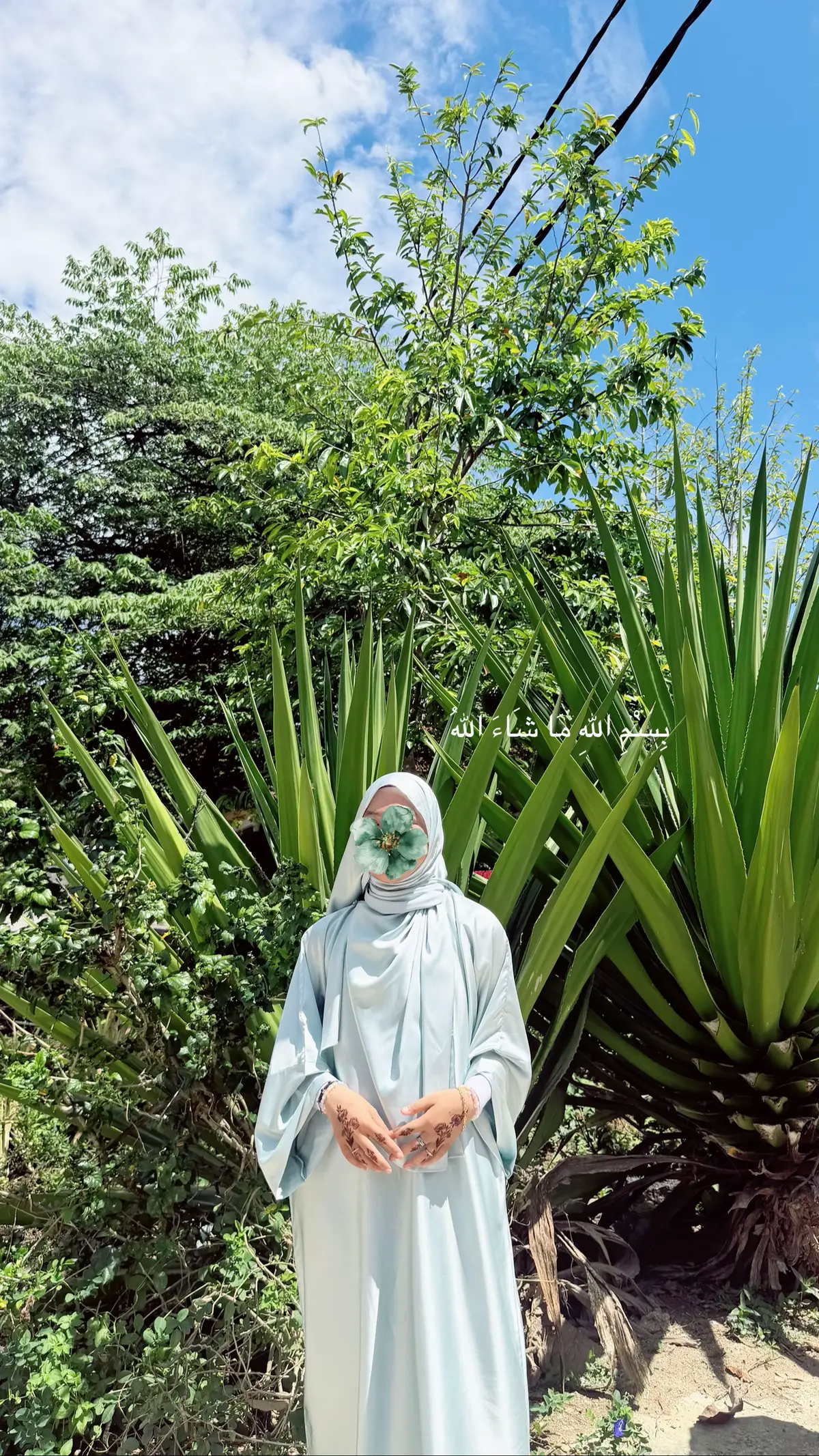 @﮼أَنِيس ﮼عَاطِفَه 🦢✧