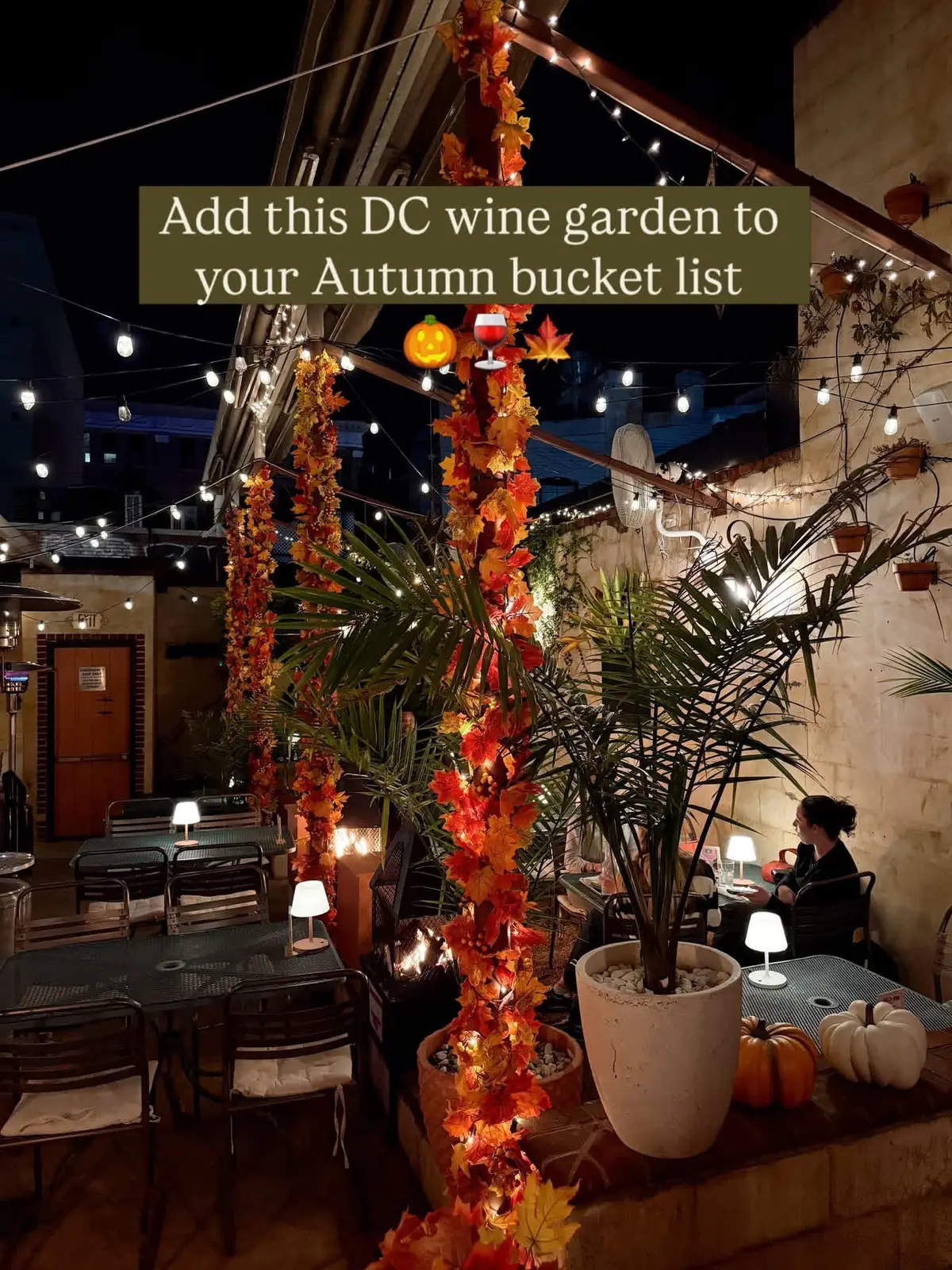 @nicki • dc+ beyond!