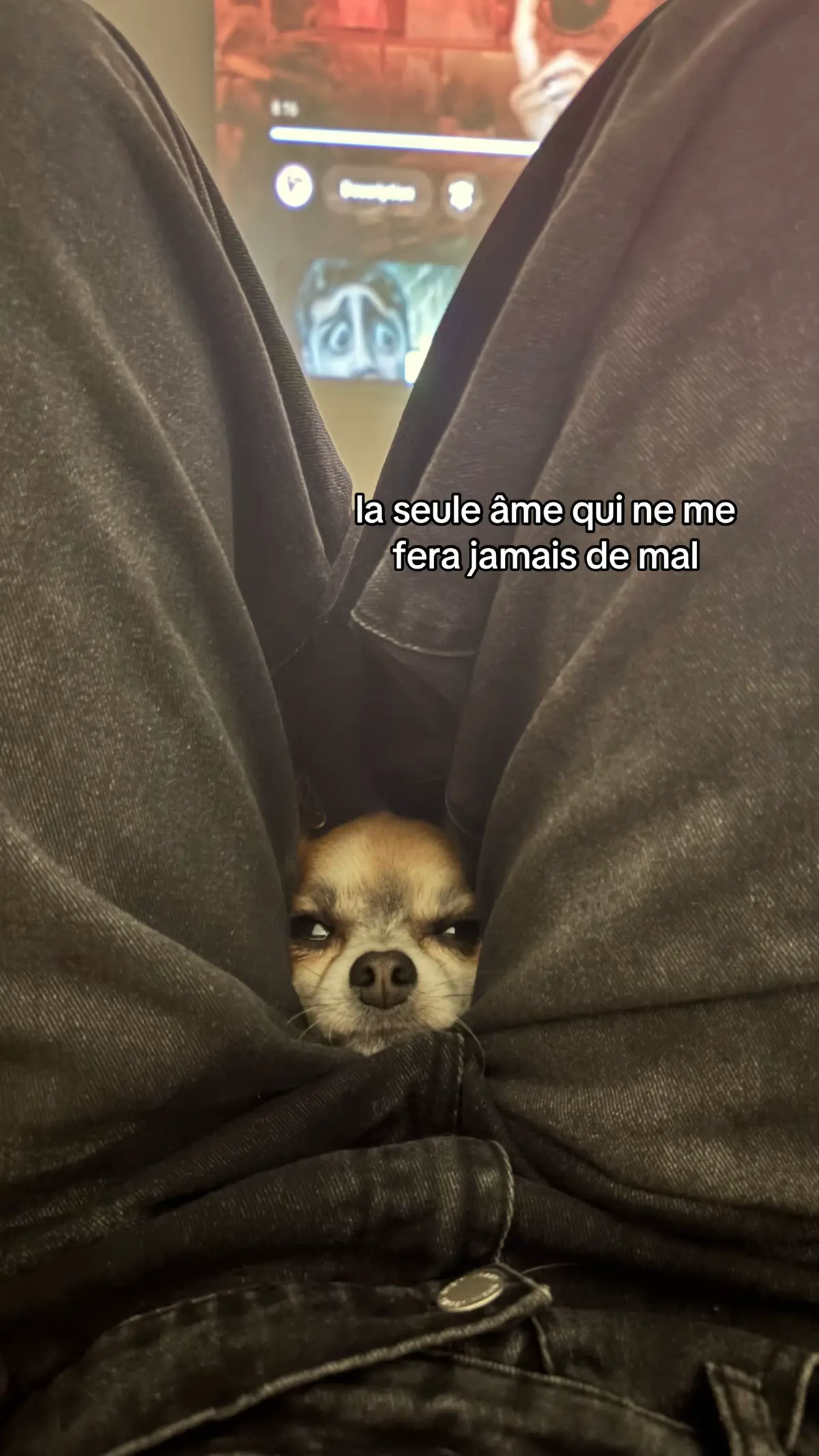 @︎