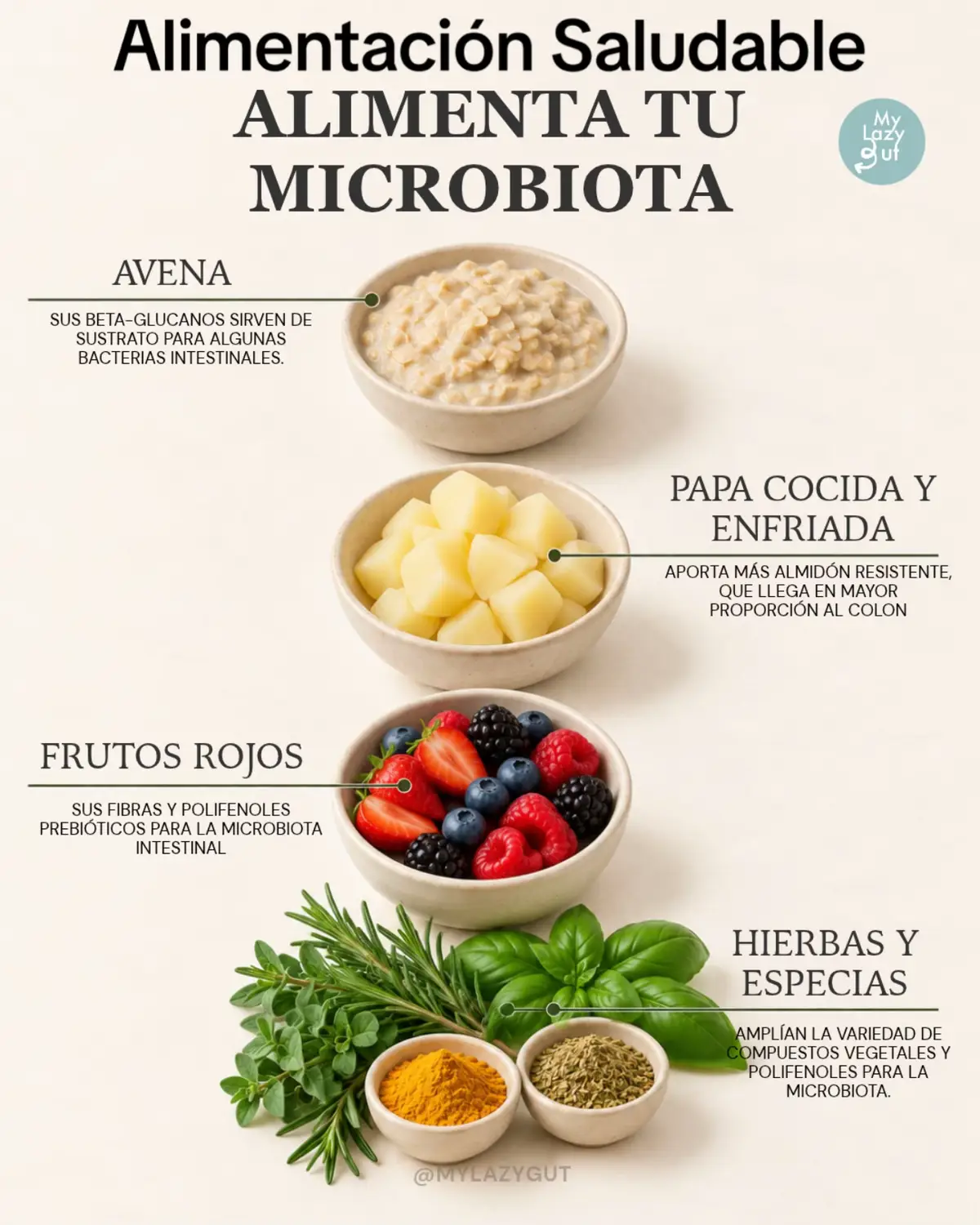 @Mylazygut/Digestión Saludable
