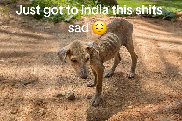 @Sodonko_