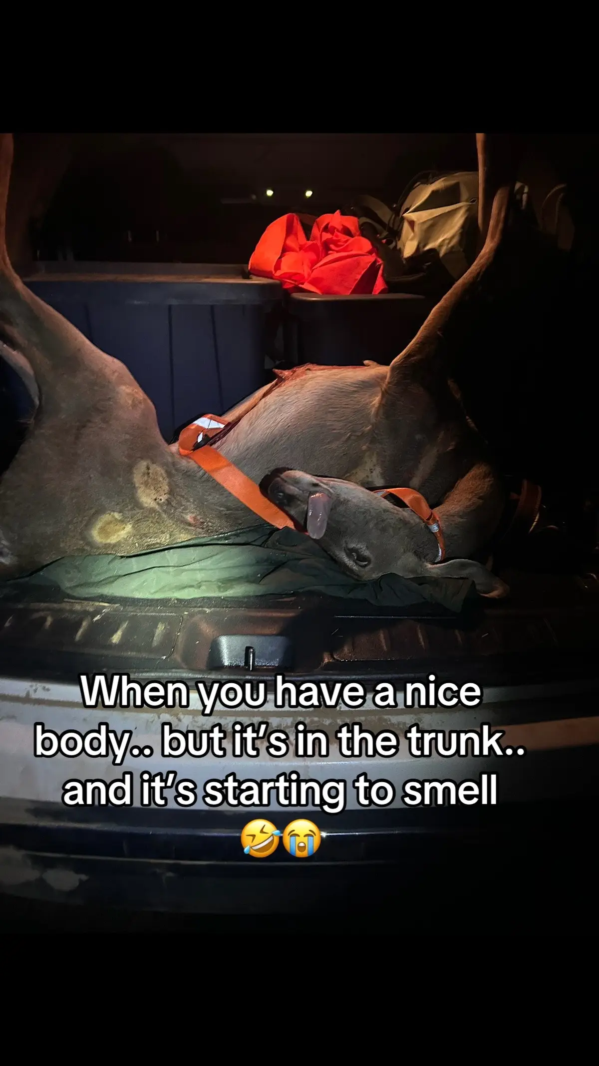 @Laura Walton