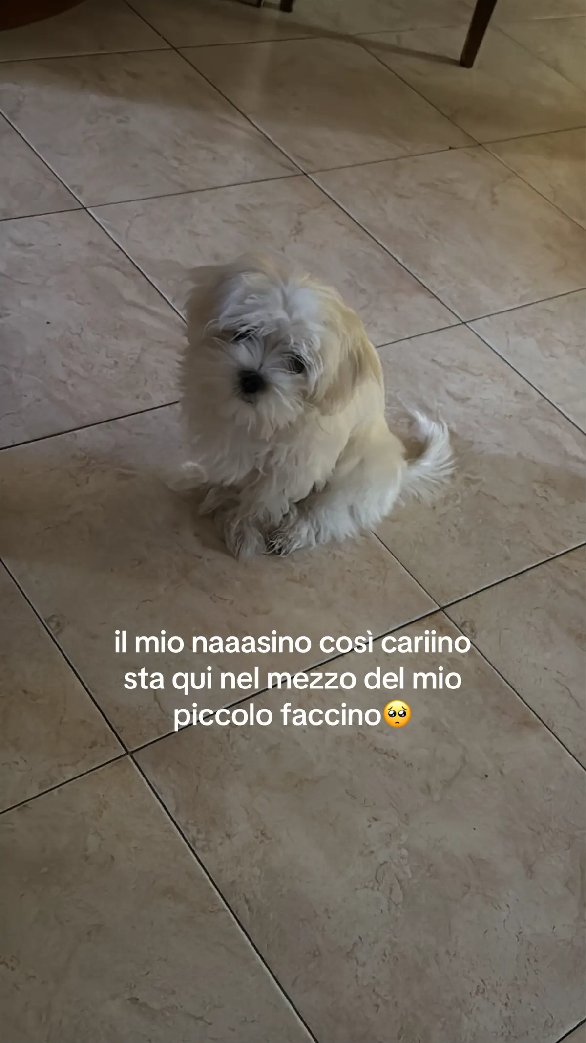 @ElenaNicolò