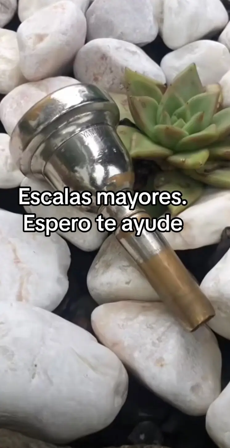 @Maestro_Tuba1