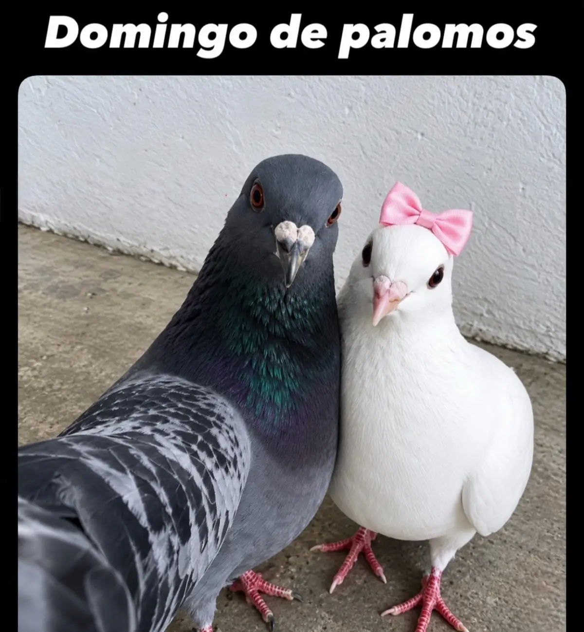 @alexander___espinal