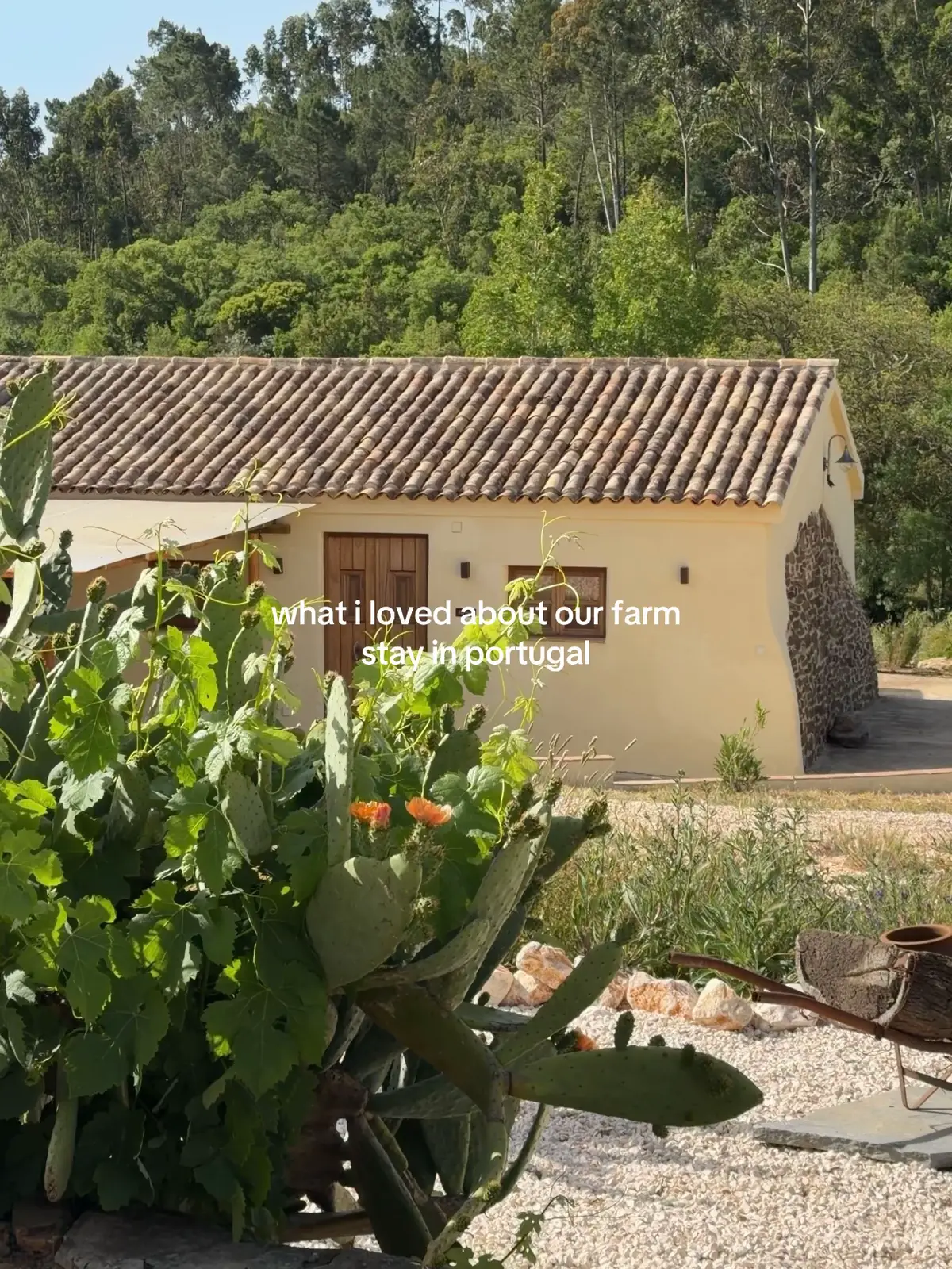 @sophia ◡̈