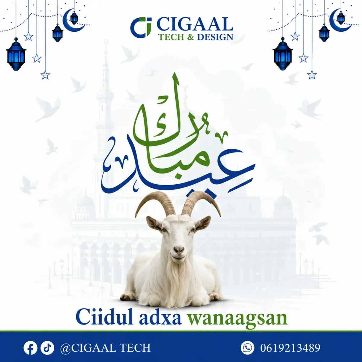 @CIGAAL TECH