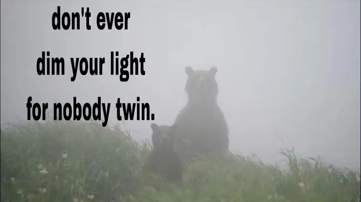 @grug