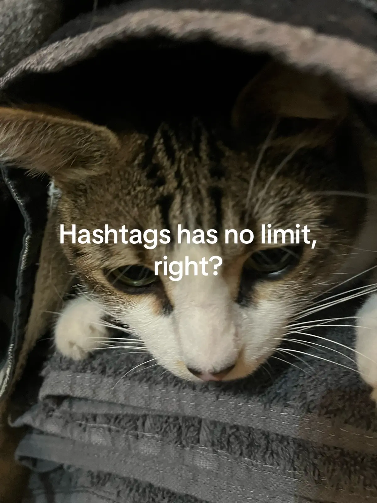 @L1TTLE_N1GHTM4RE666