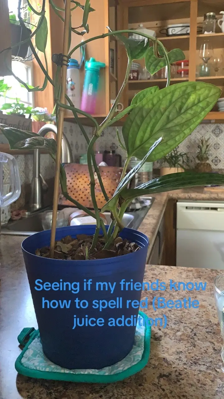 @ 