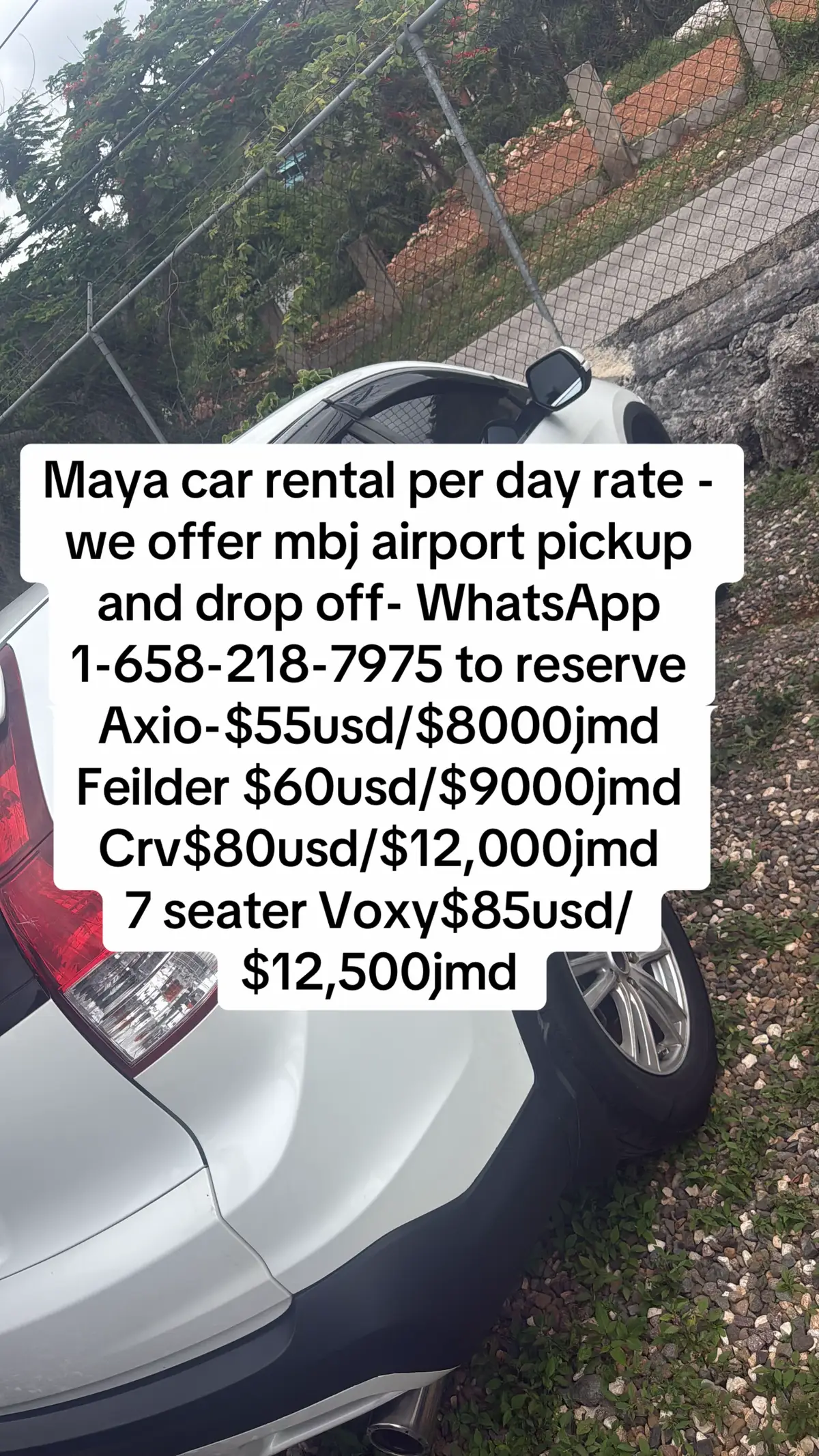 @Maya car rentals