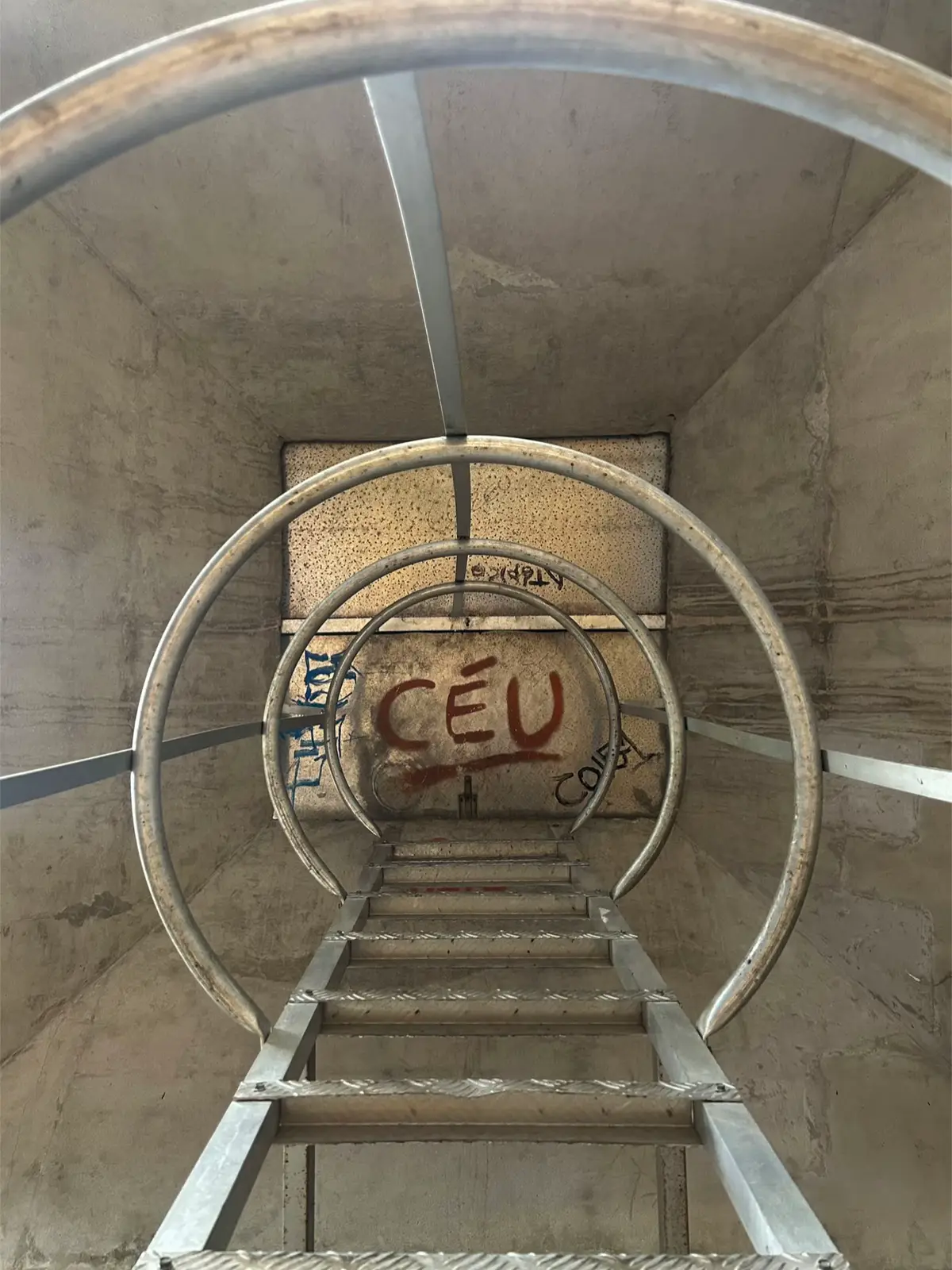 @alice