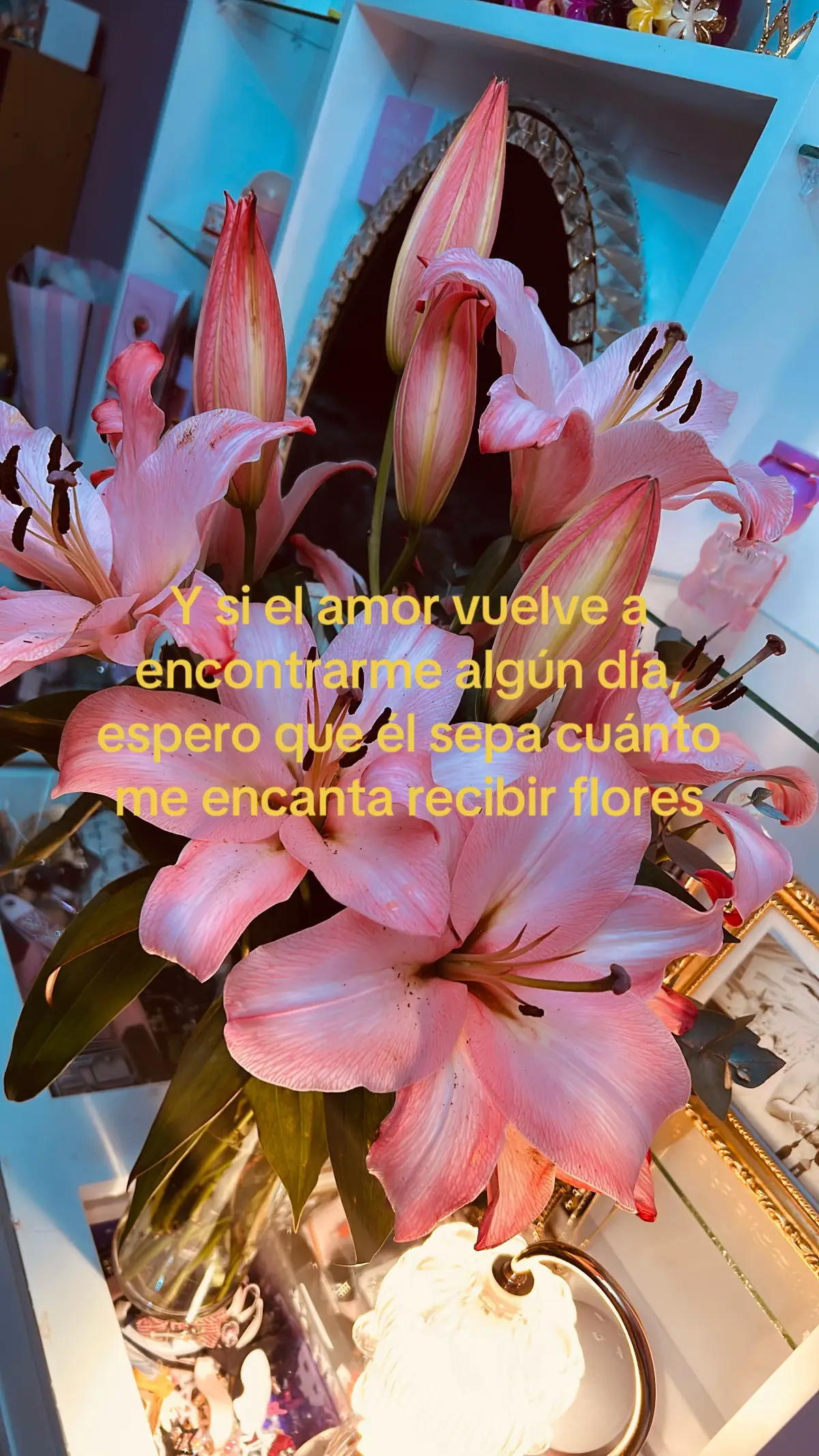 @𝐈.𝑔𝒶𝓇𝒸𝒾𝒶🪩🦢🪞