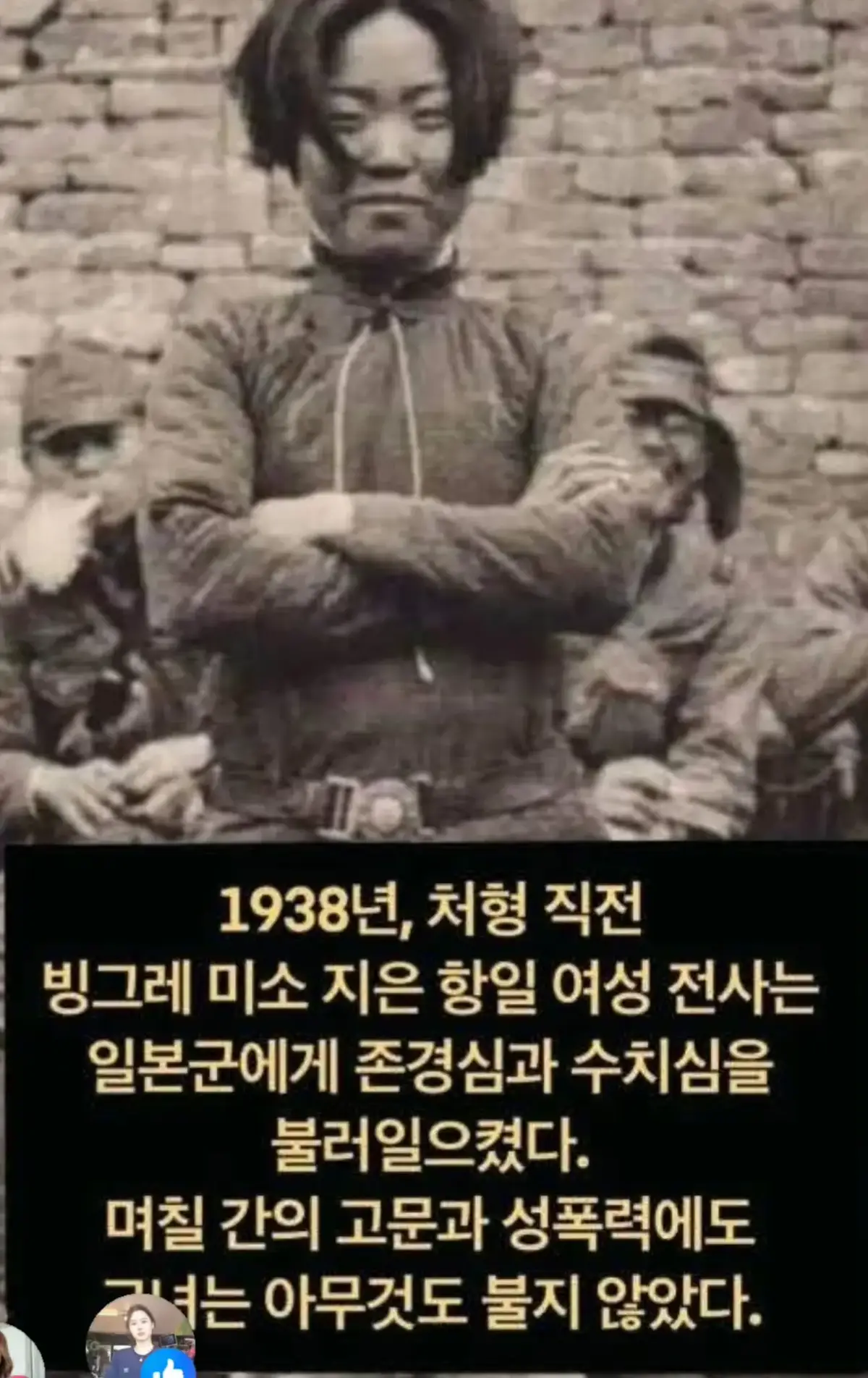 @🌺시라소니[본]🌺