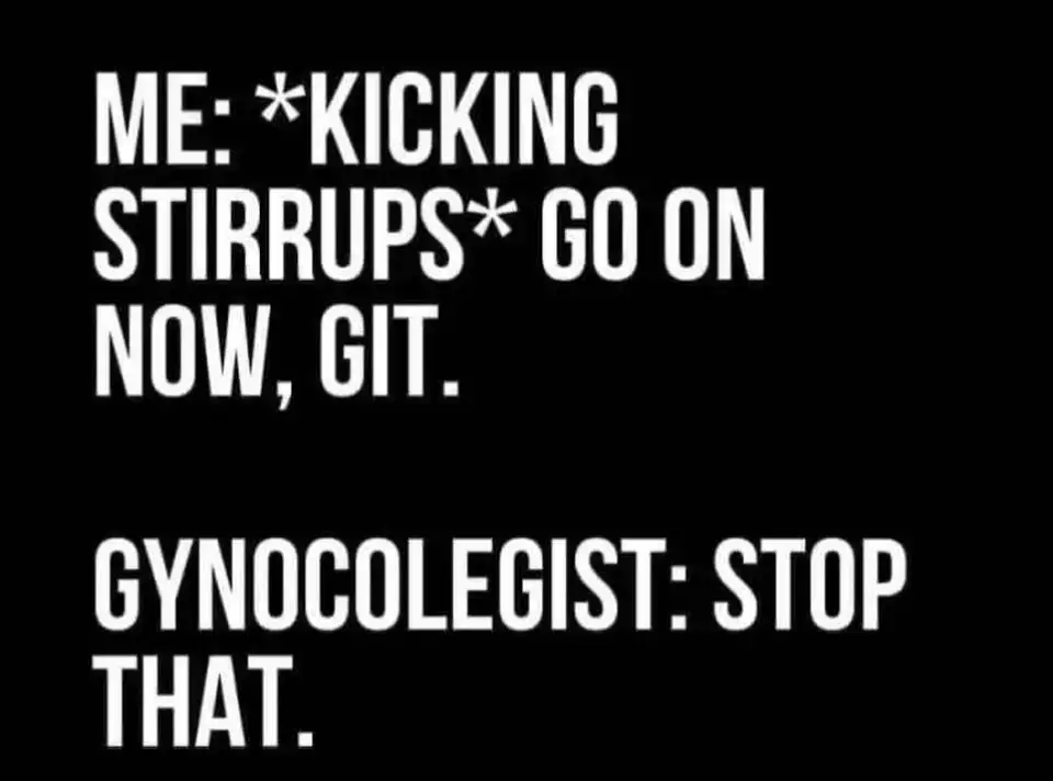 @Taryn Steele