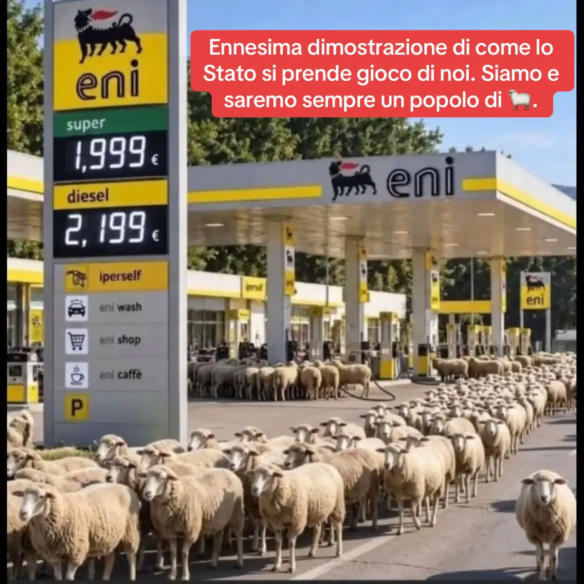 @ilbidelloditiktok_