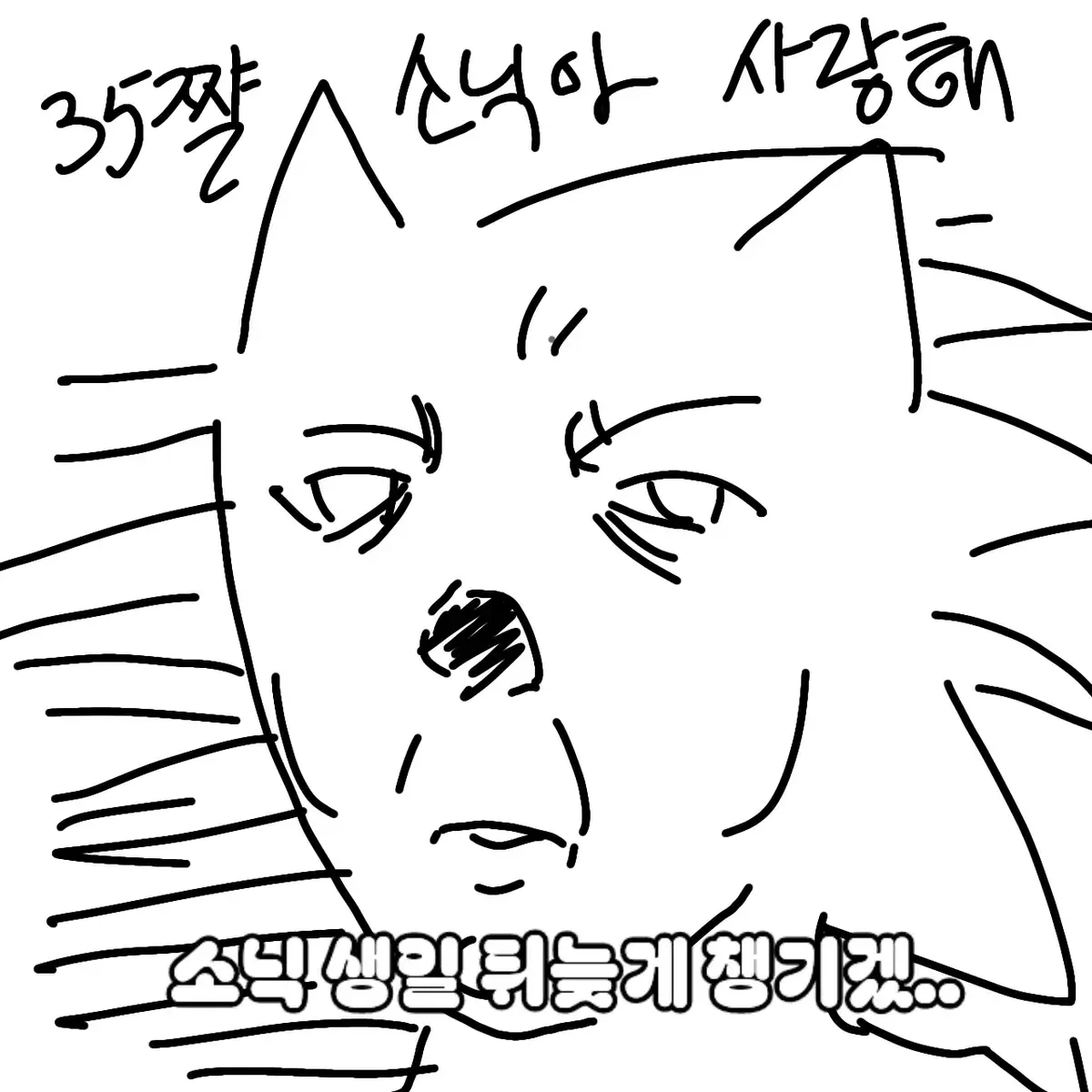 @제이요| Jeiyo '&omega;'[🇰🇷]
