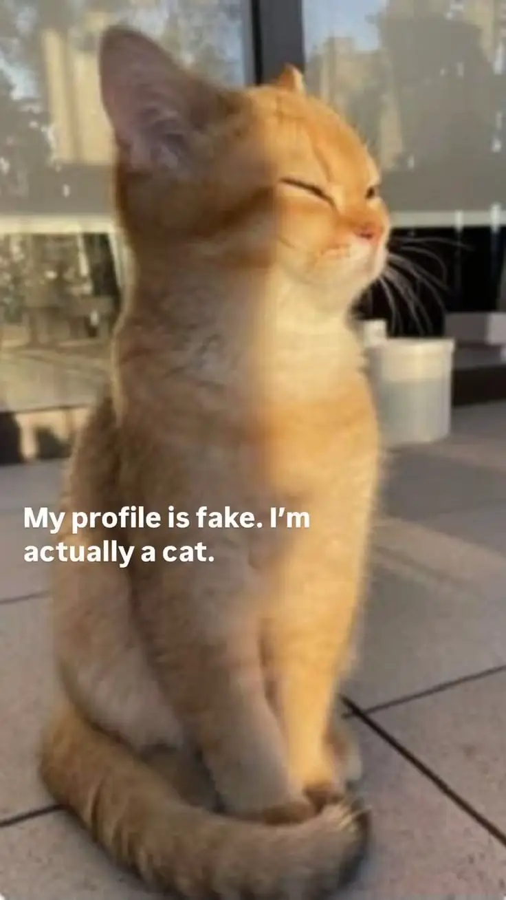 @MIHI