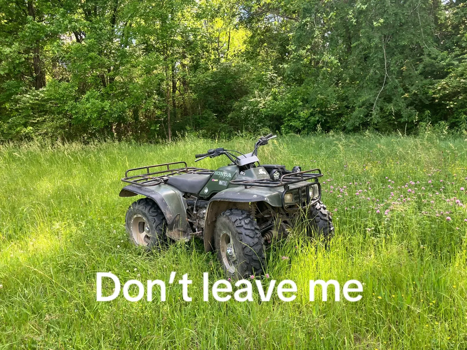 @luke hancock